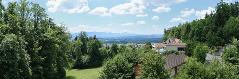 Your new home with Rigiblick & dream terrace (1)
