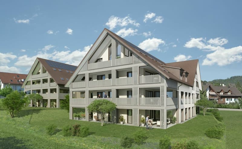 Appartement en mansarde avec panorama montagnard grandiose (2)
