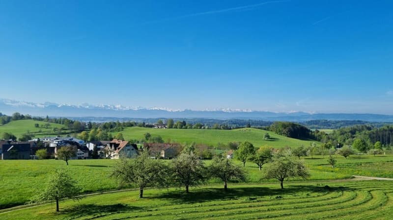 Appartement en mansarde avec panorama montagnard grandiose (1)