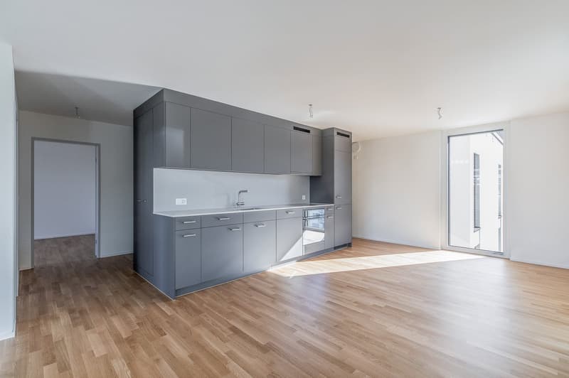 Appartement moderne 3.5 pièces avec grande loggia au 3ème étage (6)