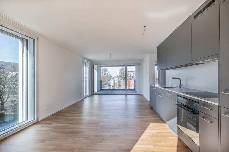 Appartement moderne 3.5 pièces avec grande loggia au 3ème étage (4)