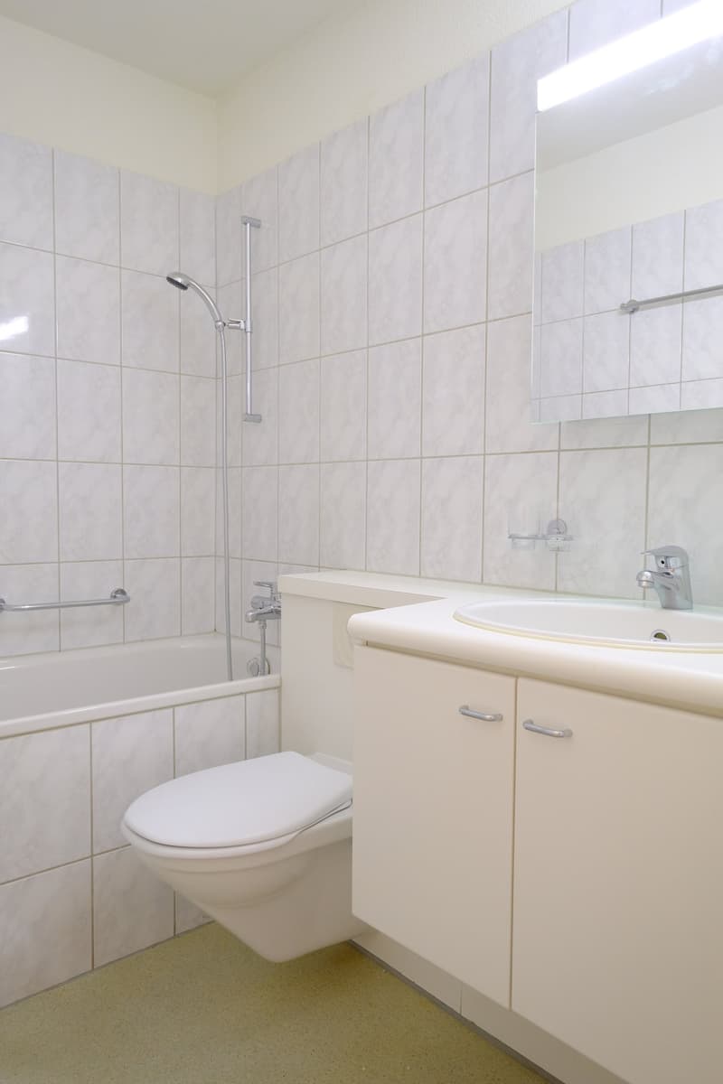 Investment property with 15 apartments in a central location in Zurich-Altstetten (5)