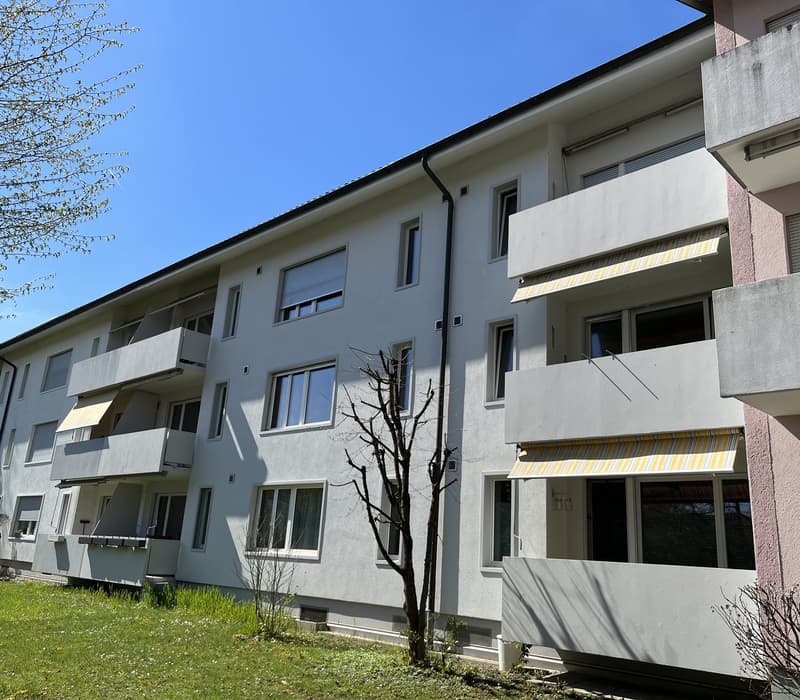 Investment property with 15 apartments in a central location in Zurich-Altstetten (2)