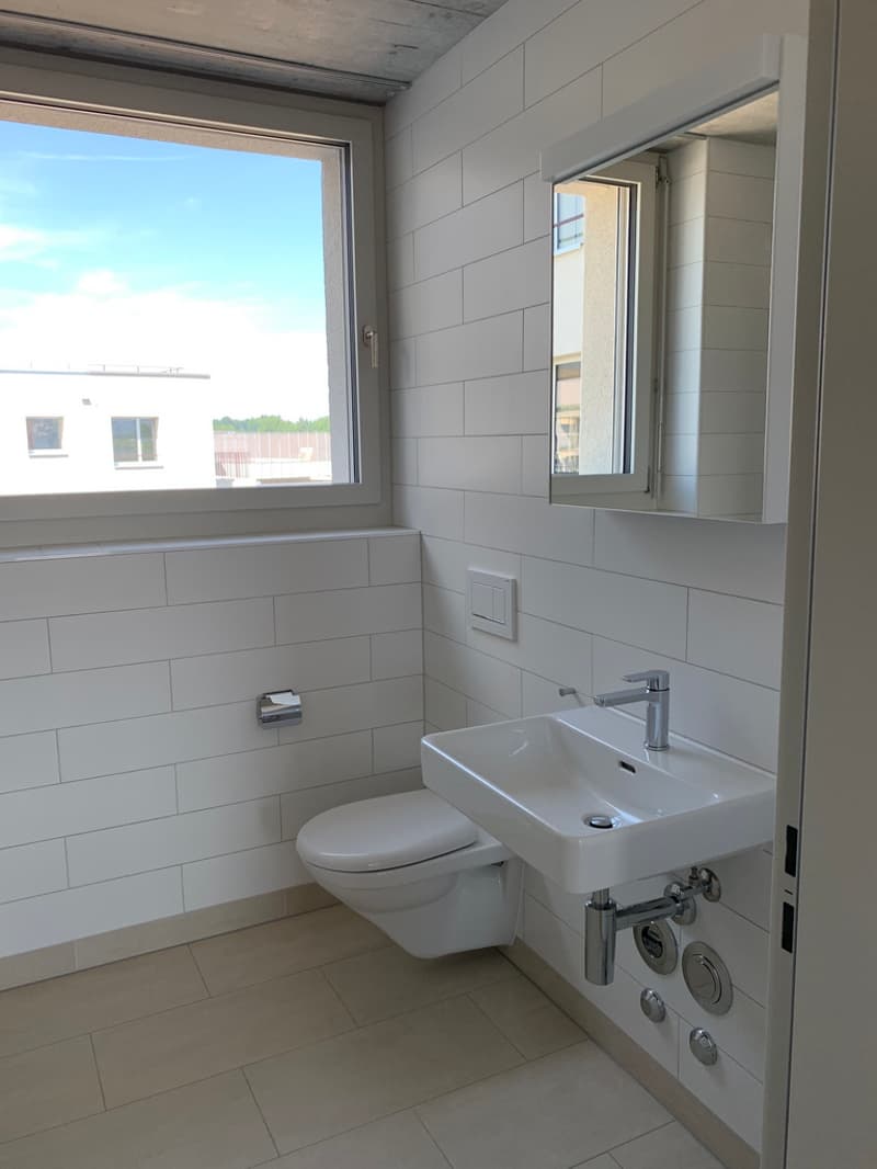 Wohnung mit Weitsicht und grosser Dachterrasse (4)