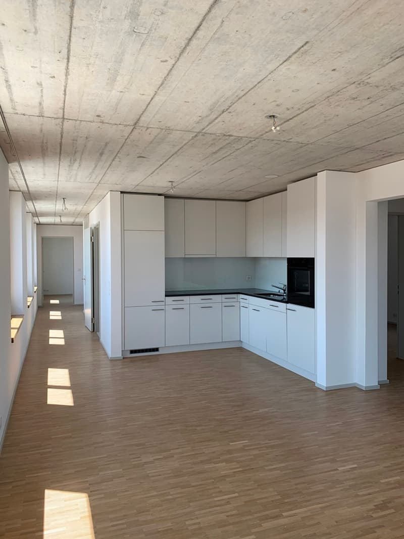 Wohnung mit Weitsicht und grosser Dachterrasse (2)
