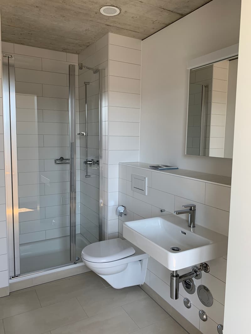 Wohnung mit Weitsicht und grosser Dachterrasse (3)