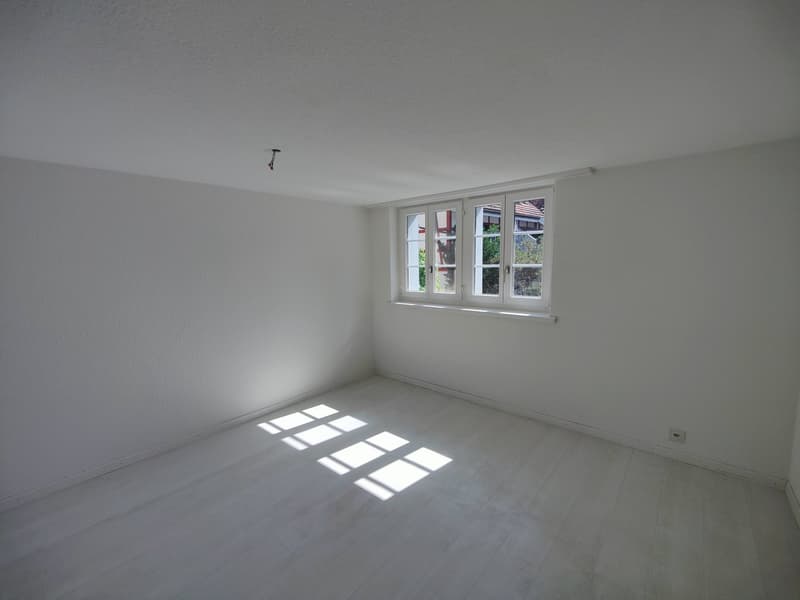 Charming 4.5-room old building apartment with balcony in Wald ZH (5)