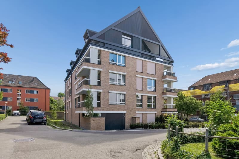 Moderne 3-Zimmer-Dachwohnung in ruhiger Lage Zürich-Milchbuck (1)