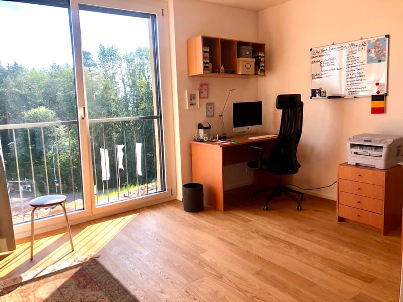 Moderne, lichtdurchflutete 3.5-Zimmerwohnung (4)