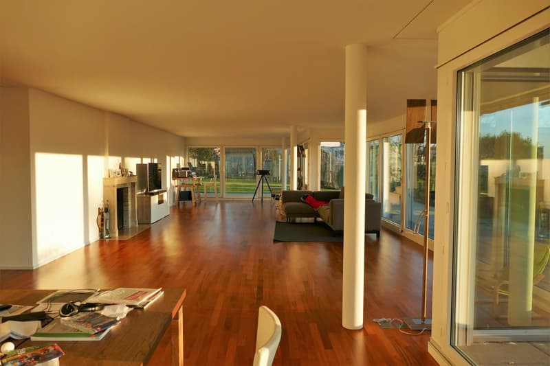 Einzigartige, grosszügige 5.5-Zimmerwohnung mit Garten, Terrasse und Cheminée (6)