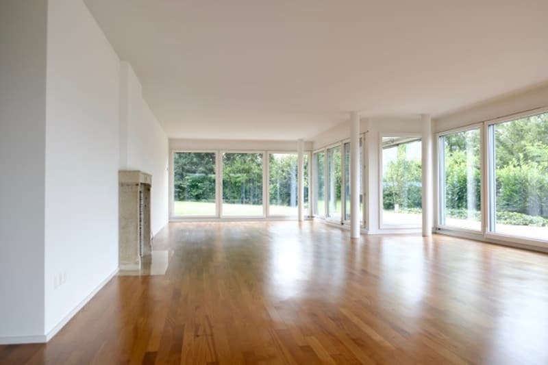 Einzigartige, grosszügige 5.5-Zimmerwohnung mit Garten, Terrasse und Cheminée (2)