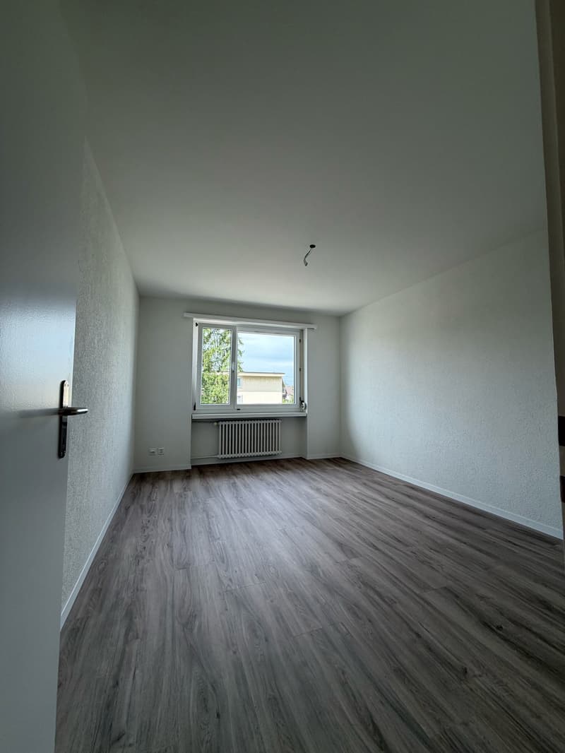 Grosszügige sanierte 4.5-Zimmer-Wohnung in Dübendorf mit Balkon (13)