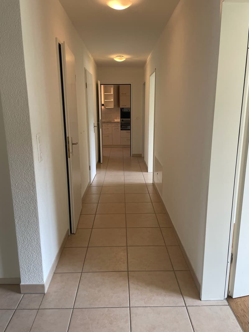 Grosszügige 4.5-Zimmer-Wohnung (8)