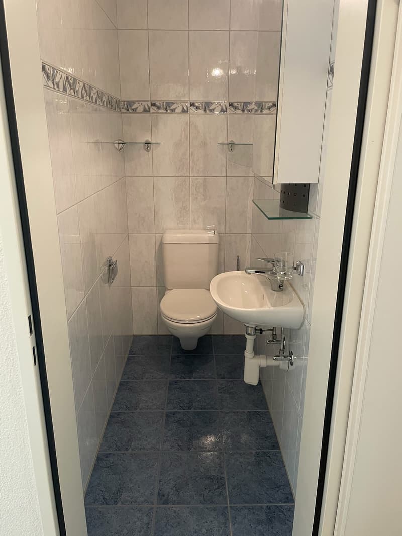 Grosszügige 4.5-Zimmer-Wohnung (10)