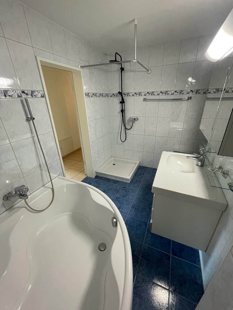 Grosszügige 4.5-Zimmer-Wohnung (9)