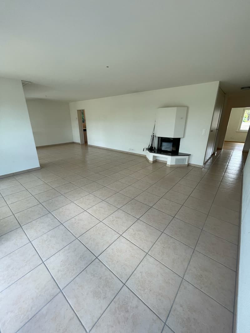 Grosszügige 4.5-Zimmer-Wohnung (3)