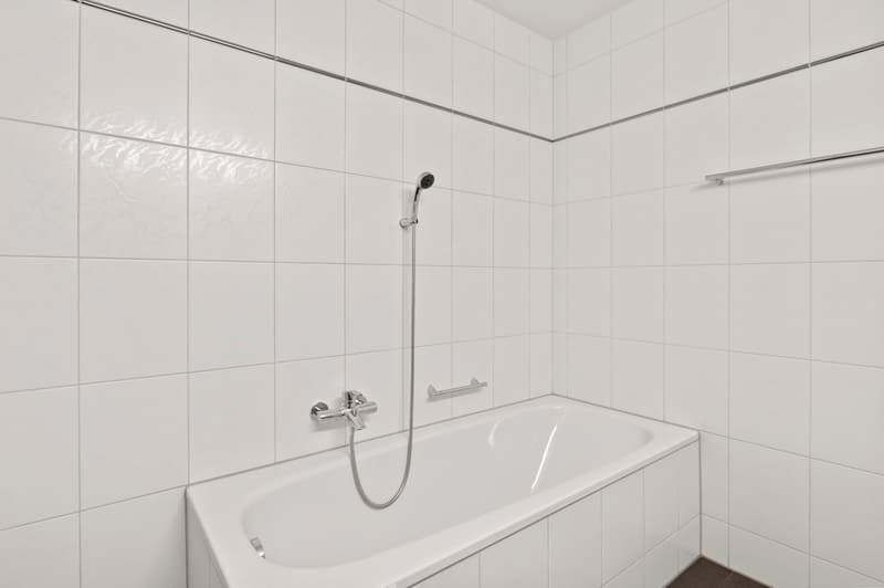 Grosse 4.5-Zimmer-Whg mit freier Sicht auf die Mythen (19)