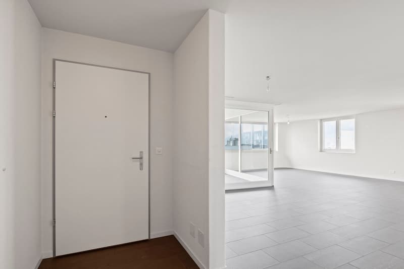 Grosse 4.5-Zimmer-Whg mit freier Sicht auf die Mythen (2)