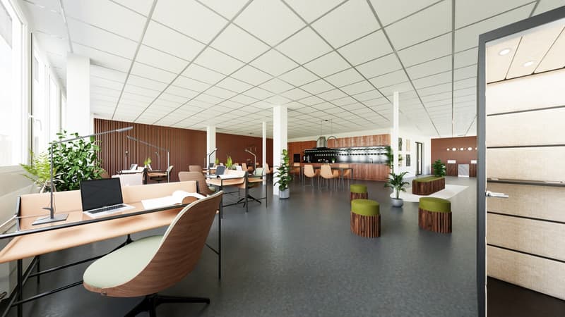 Ready-to-occupy offices in Dättwil (3)