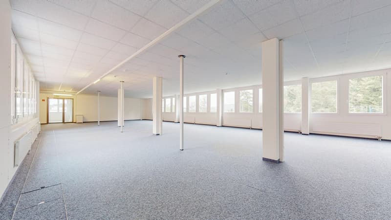Ready-to-occupy offices in Dättwil (9)