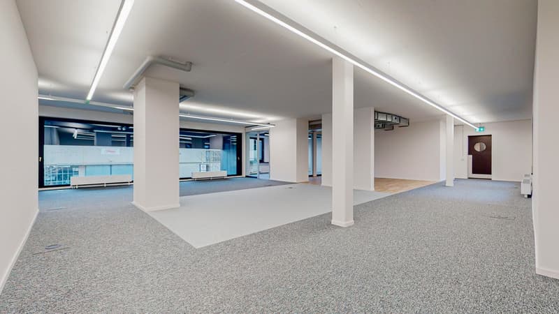 Ready-to-occupy rental space (4)