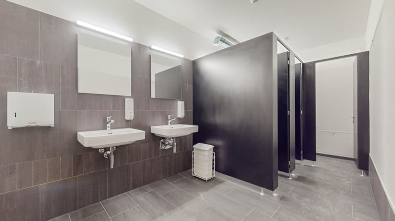 Ready-to-occupy rental space (6)