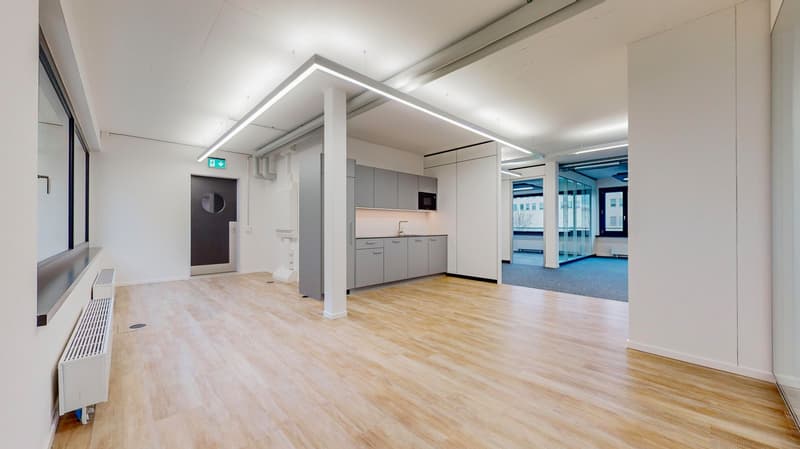 Ready-to-occupy rental space (3)