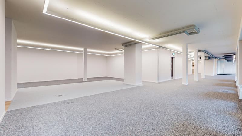 Ready-to-occupy rental space (5)