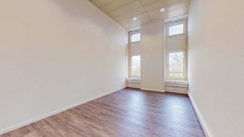 GF-in-Basel-Raum-2.jpg