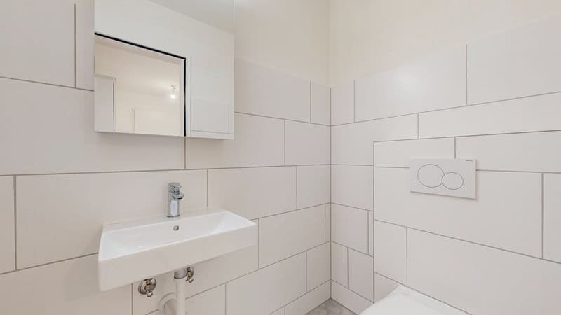 9209.05.0101-Toilette.jpg