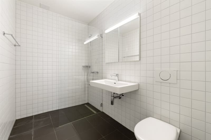 Dream of a garden apartment? (6)