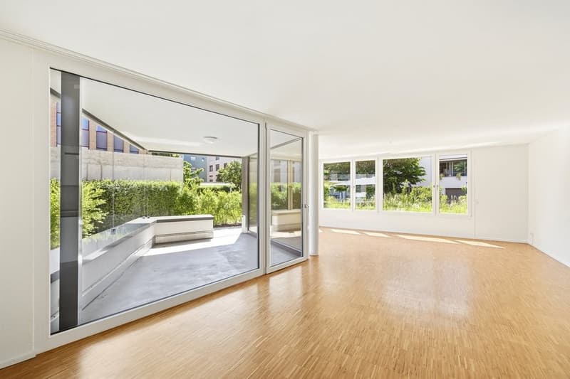 Dream of a garden apartment? (5)