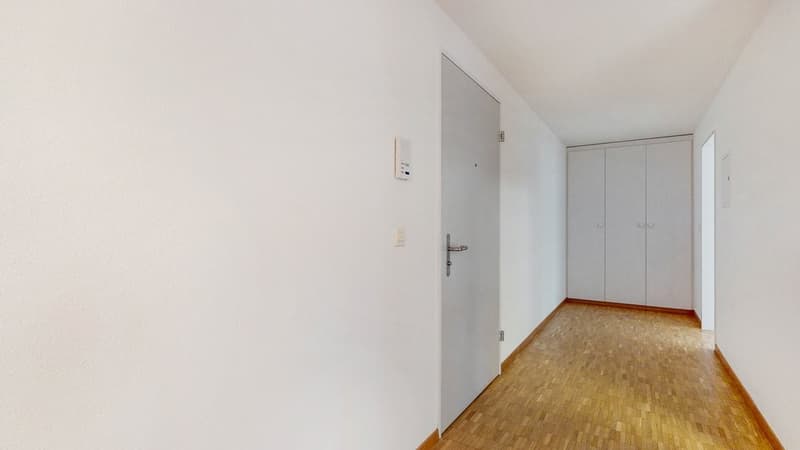 The ideal family apartment in a prime location (9)