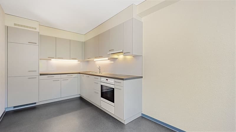 The ideal family apartment in a prime location (4)
