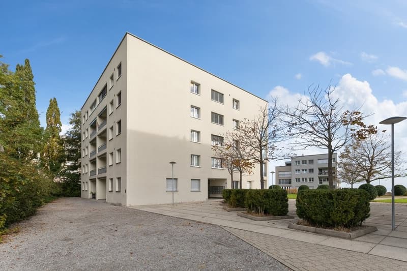 Appartement familial spacieux dans un quartier calme (1)