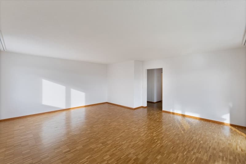 Appartement familial spacieux dans un quartier calme (3)