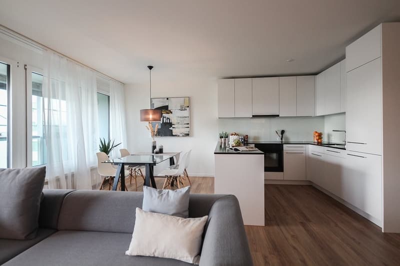 Modern living on the border of Basel-Stadt (3)
