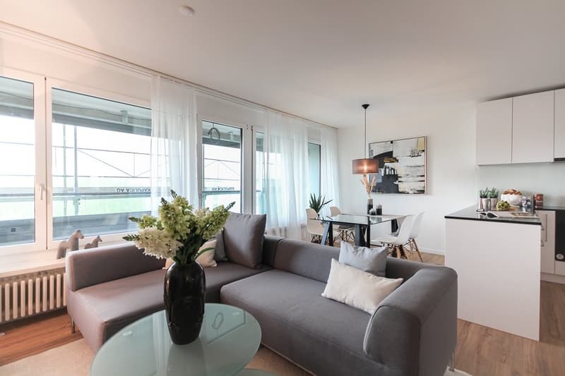 Modern living on the border of Basel-Stadt (6)