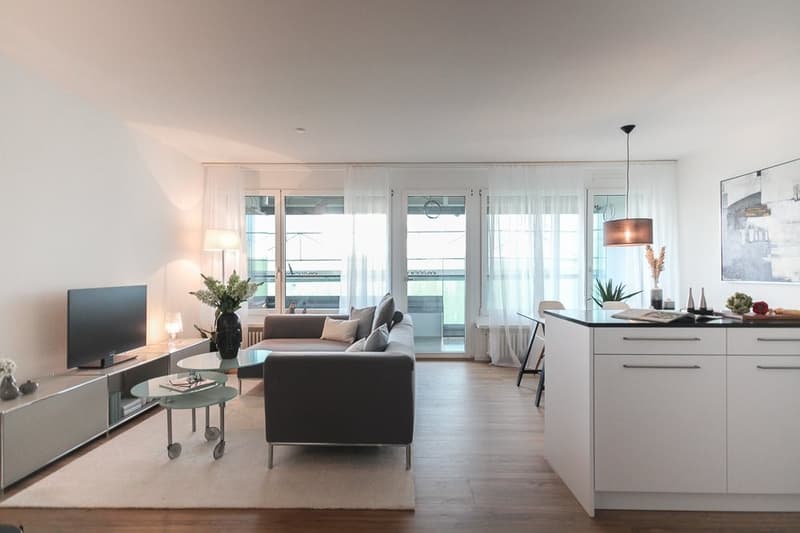 Modern living on the border of Basel-Stadt (5)