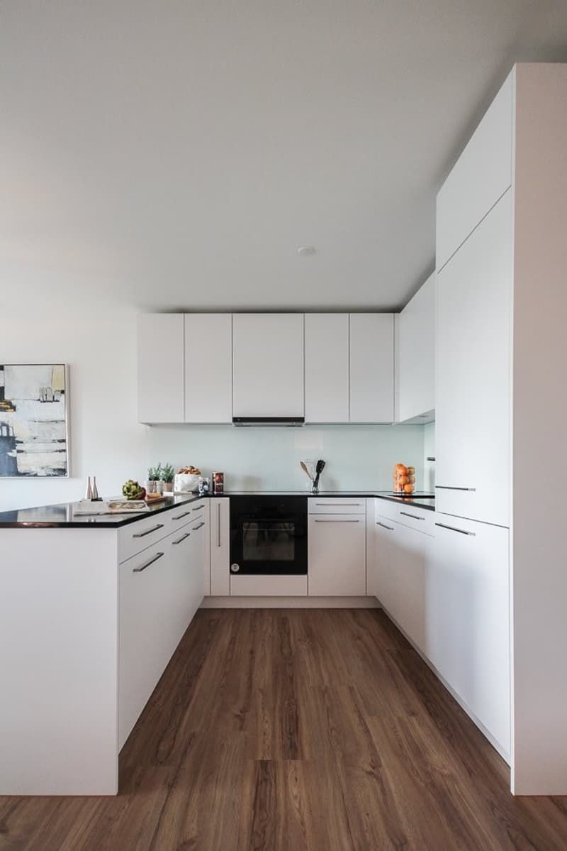 Modern living on the border of Basel-Stadt (4)