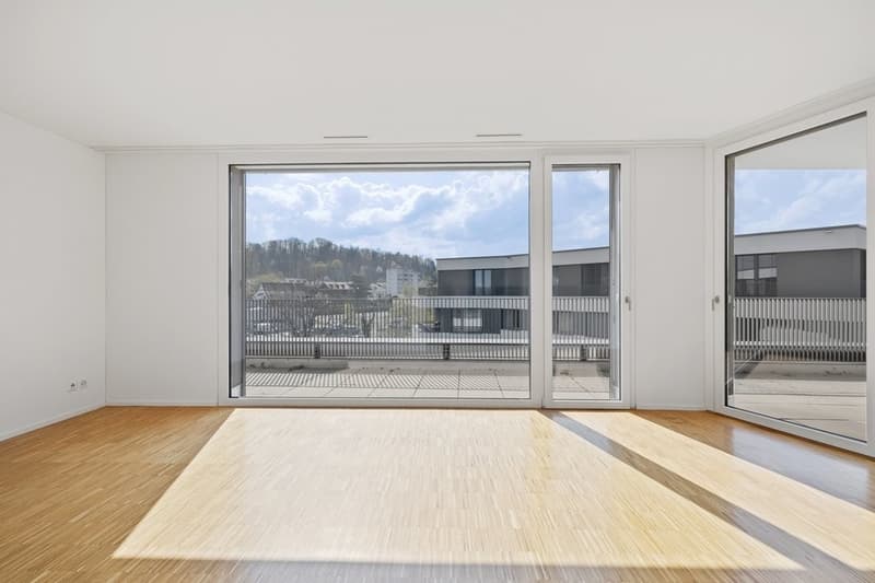 Pensato diversamente con ampia terrazza sul tetto (5)