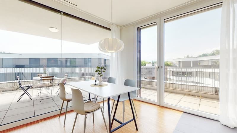 Pensato diversamente con ampia terrazza sul tetto (3)