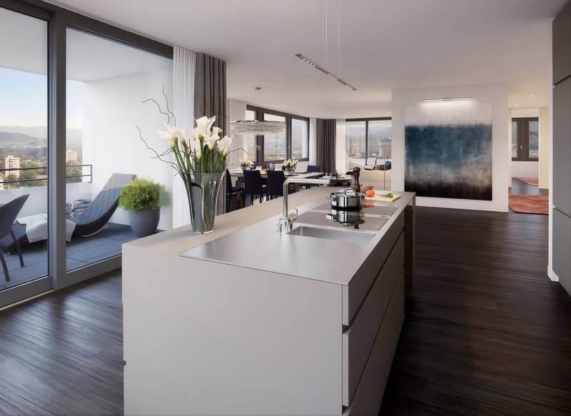 Looking for an attic apartment with a view over the city of Basel? (3)