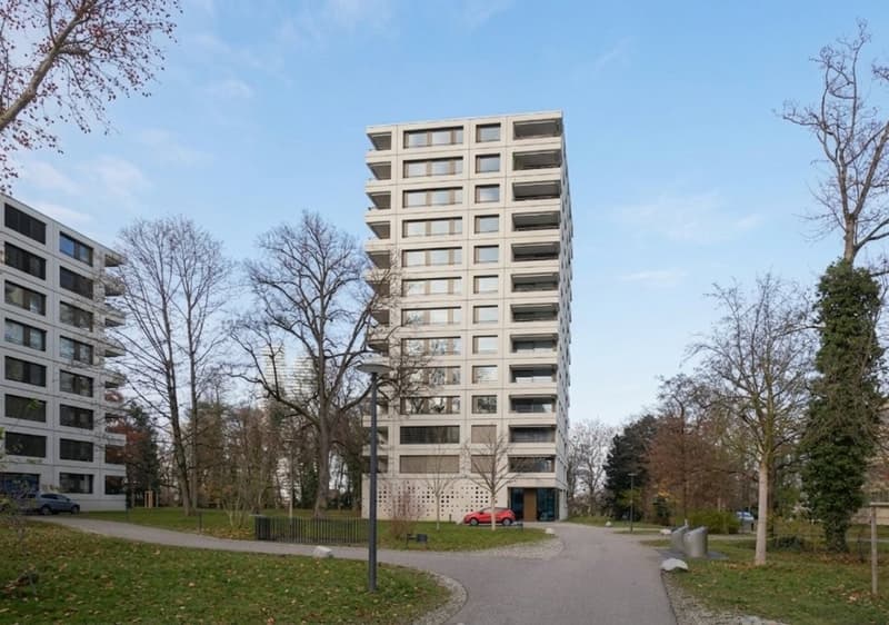 Looking for an attic apartment with a view over the city of Basel? (2)