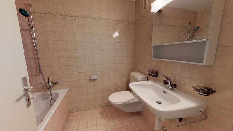 Ihr gemütliches Zuhause am Bodensee! (4)