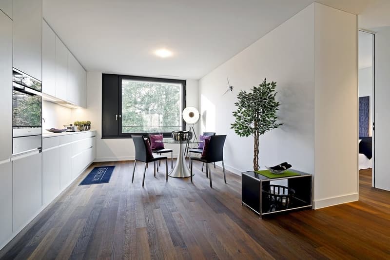 Cerca comfort di vita lussuoso in città? (3)
