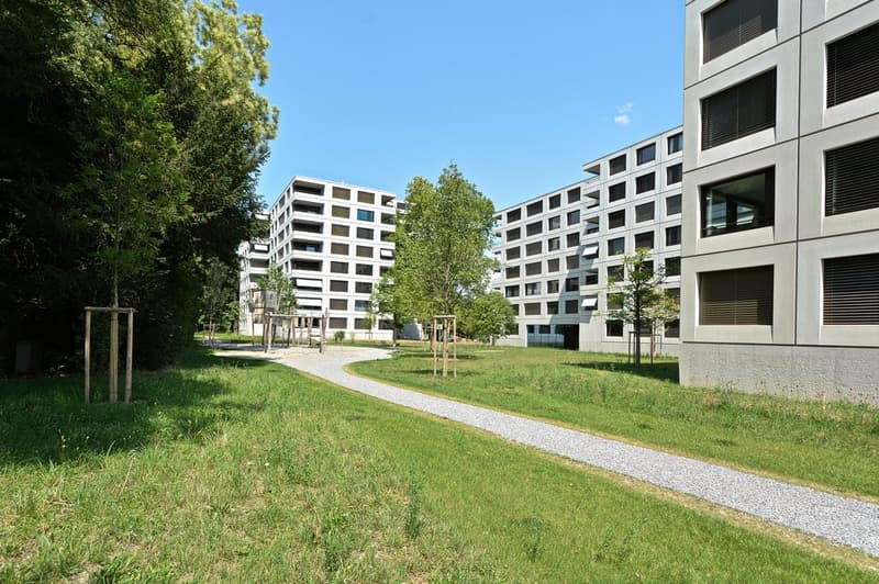Cerca comfort di vita lussuoso in città? (2)