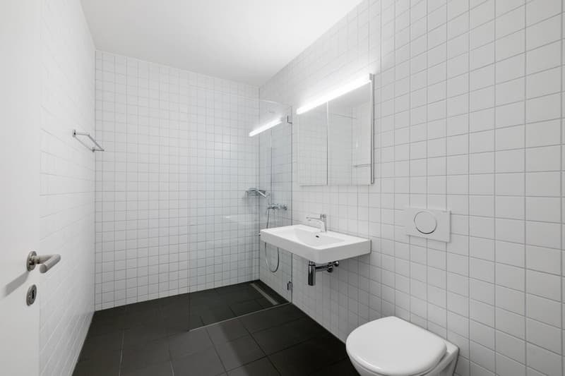 pacifica, stilosa, unica - Vita moderna con terrazza sul tetto di 50m2 (6)