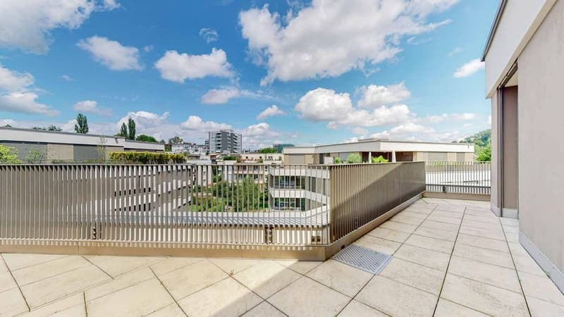 pacifica, stilosa, unica - Vita moderna con terrazza sul tetto di 50m2 (10)