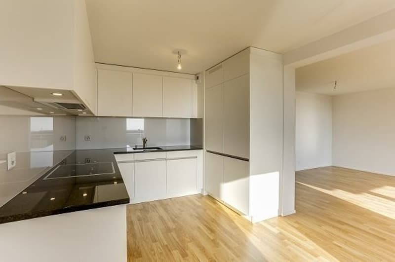 Habitez dans un logement rénové! (2)